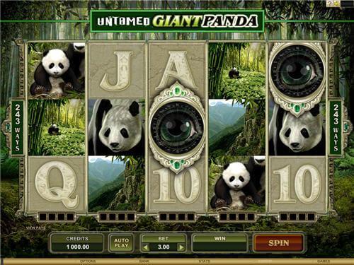 Panda Gigante