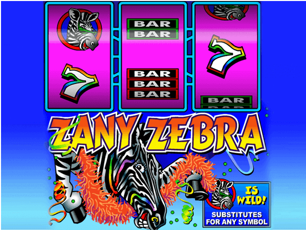 Zebra Zany